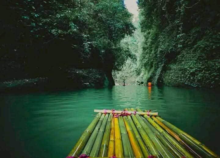 Contributing to WordPress Through My Photography